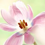 Inovasi Teknologi di Imigrasi Mukomuko untuk Pelayanan Optimal