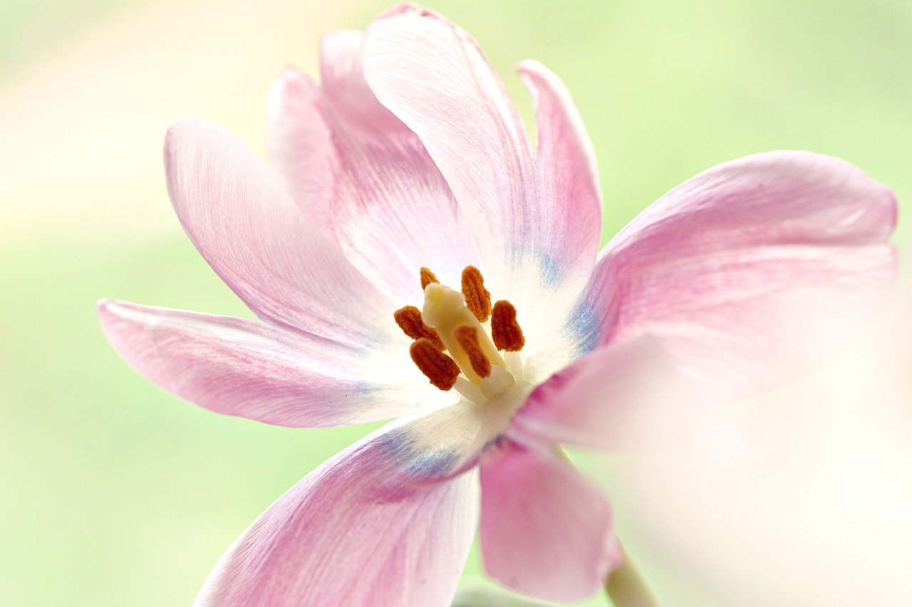 Inovasi Teknologi di Imigrasi Mukomuko untuk Pelayanan Optimal