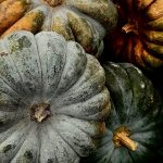 Upaya Imigrasi Mukomuko Menghadirkan Pelayanan yang Responsif